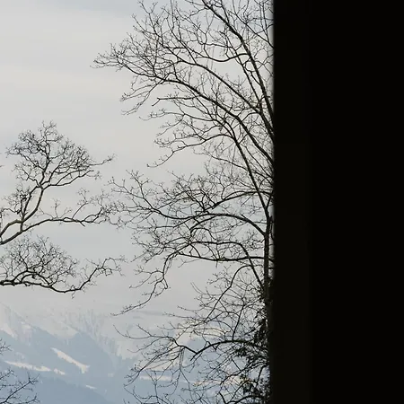 Neu! Læke - Am Bodensee *